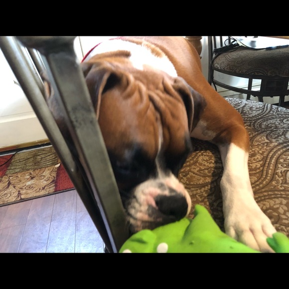 MAKE ME AN OFFER. We’re ALL WINNERS. !!👍😉👚👕👗🩱👙👠🥿🩴🥻👘🥾🧤👒🩳🥻🐶🐾💕 - Picture 11 of 16